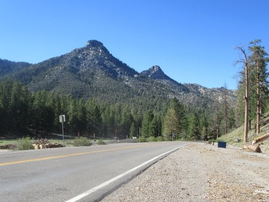 Drive through the Mt Charleston Scenic Byway