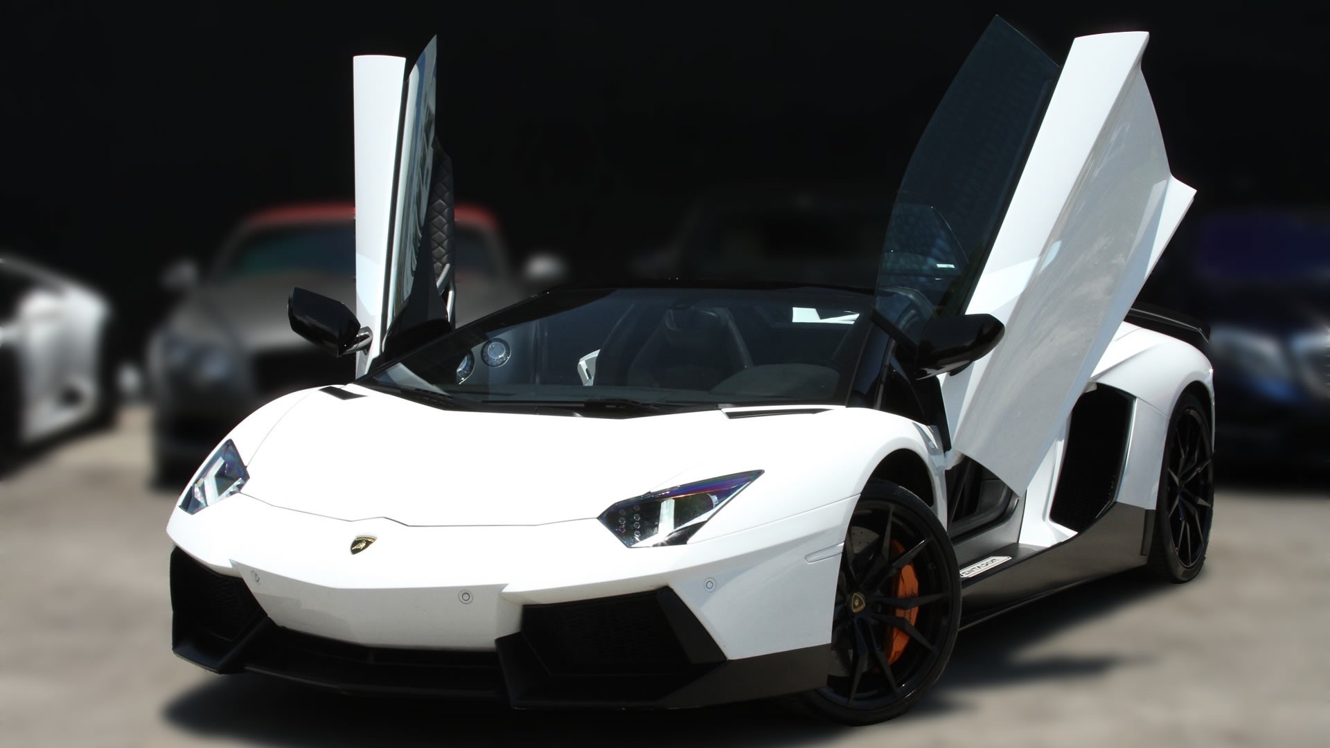 LVC Exotic Rentals