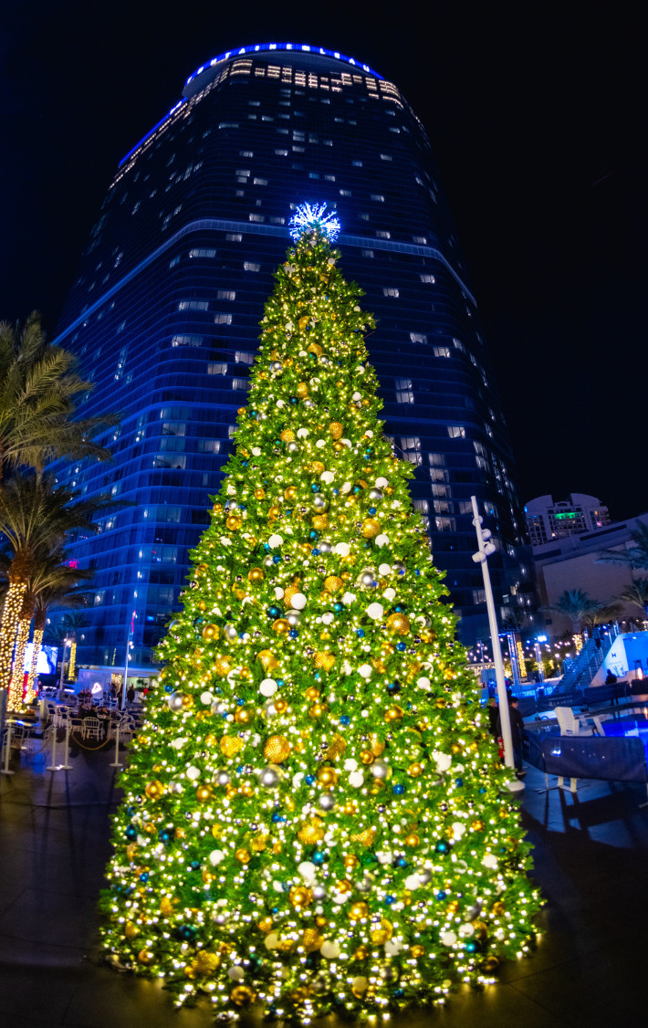 Oasis Ice Rink at Fontainebleau Las Vegas Unveils 2026 Holiday Lineup Featuring Nick Carter and Mark Stone