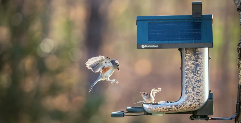 CES 2026 Is for the Birds — and That’s a Compliment