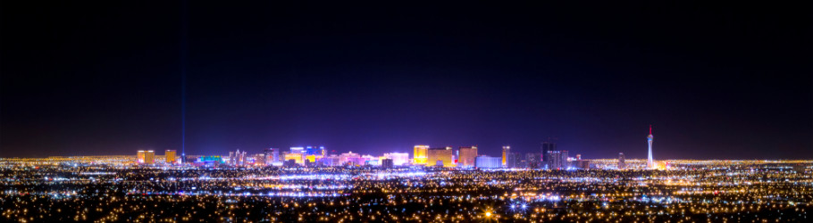 Max Dalton cover image