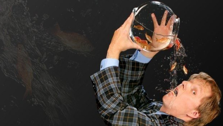 5 Family Friendly Magic Shows