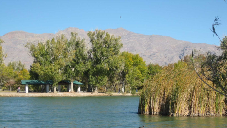 5 Fishing Locations in Las Vegas