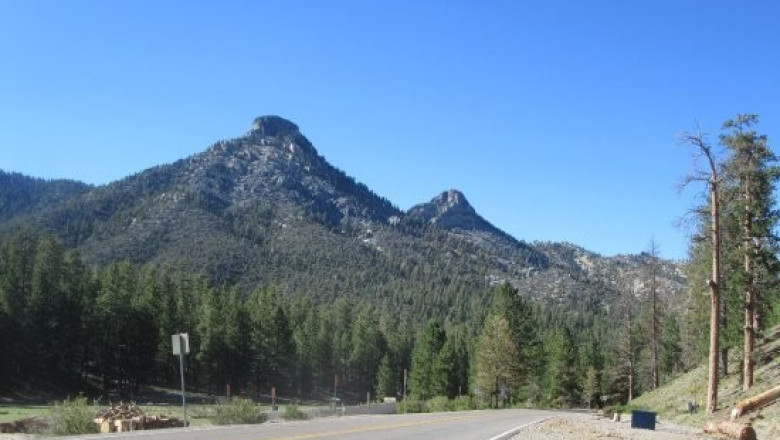 Fun Things to Do at Mt Charleston