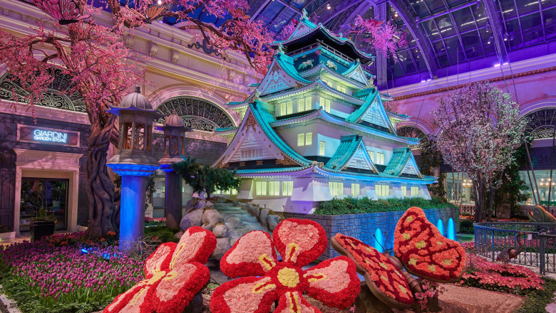 5 Free Things to Do in Las Vegas