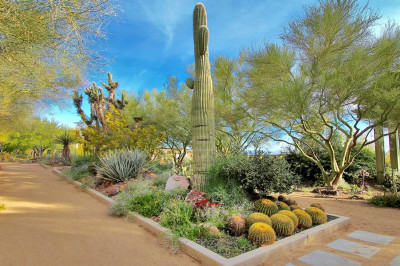 Where to Have a Picnic in Las Vegas