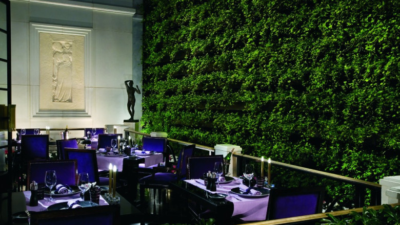 Black Truffle Extravaganza at Joël Robuchon