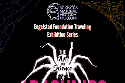 Art &amp; Science of Arachnids Traveling Exhibit — Family in Las Vegas